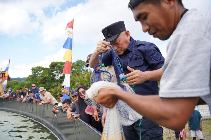Pemprov Malut dan BUMDes Tuada Sukses Panen Perdana 1,5 Ton Udang Vaname