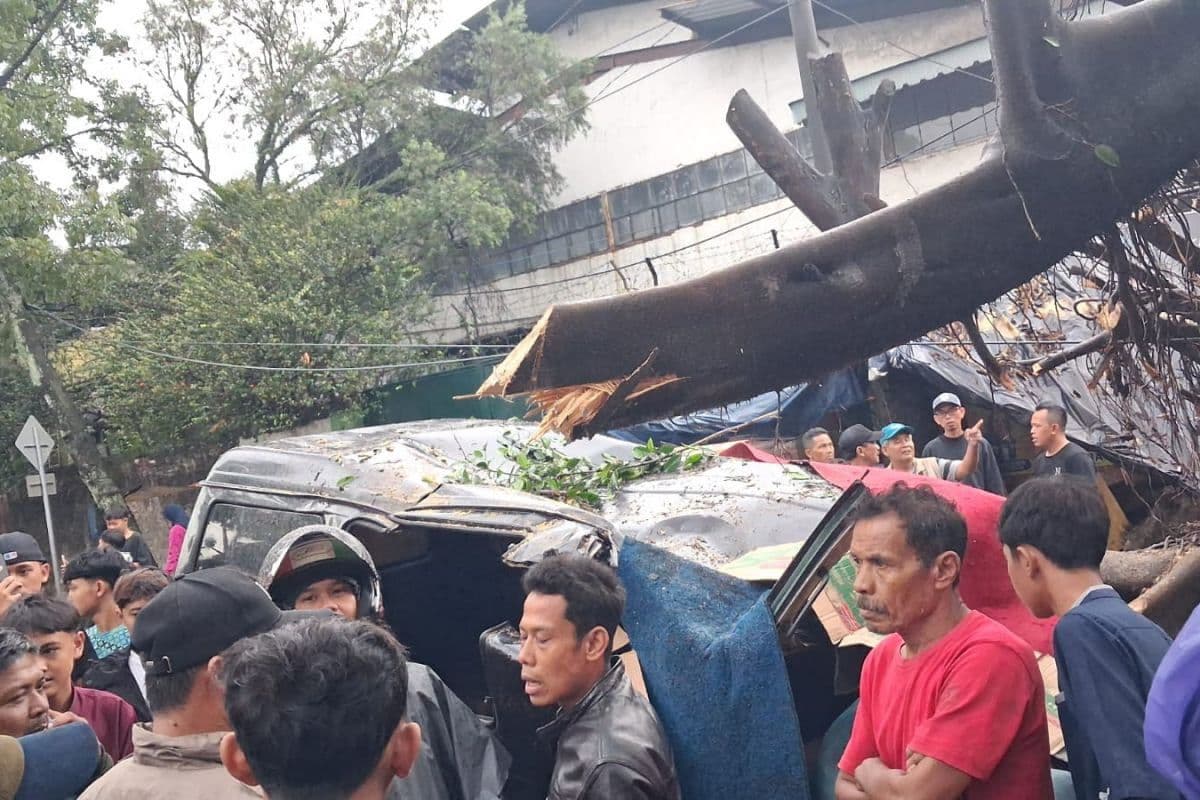 Cuaca Ekstrem Terjang Bandung: 33 Pohon Tumbang, Tanggul Jebol, dan 1 Orang Tewas